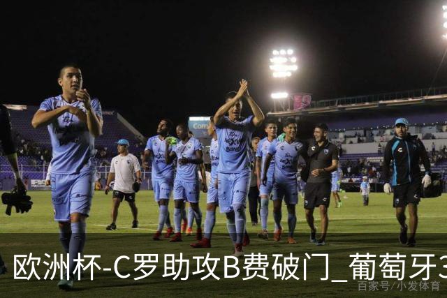 欧洲杯-C罗助攻B费破门 葡萄牙3-0土耳其